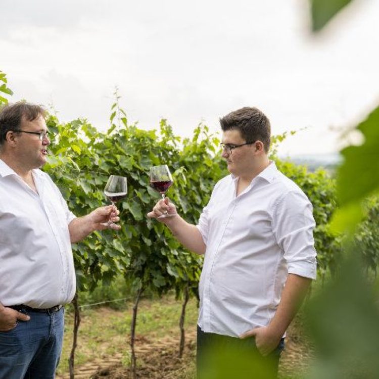 Erich Schruiff und Sohn in den Weinbergen